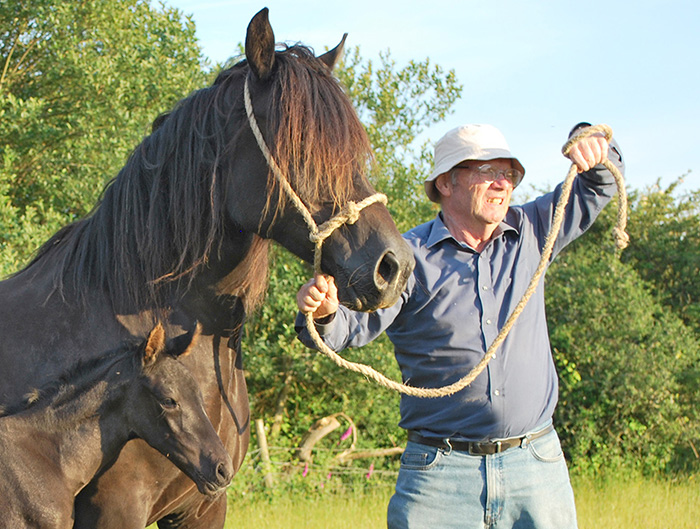 Contact Emyr Evans a.k.a. Nobby on 01545 570601. Seen here with his beloved Welsh cob Black Bess & 2014 part-bred foal.